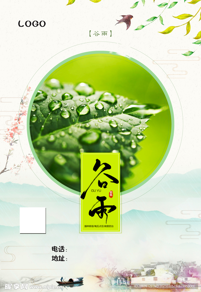谷雨