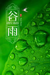 谷雨时节