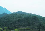 山