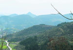 山