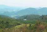山 树林 森林  山川  山岭