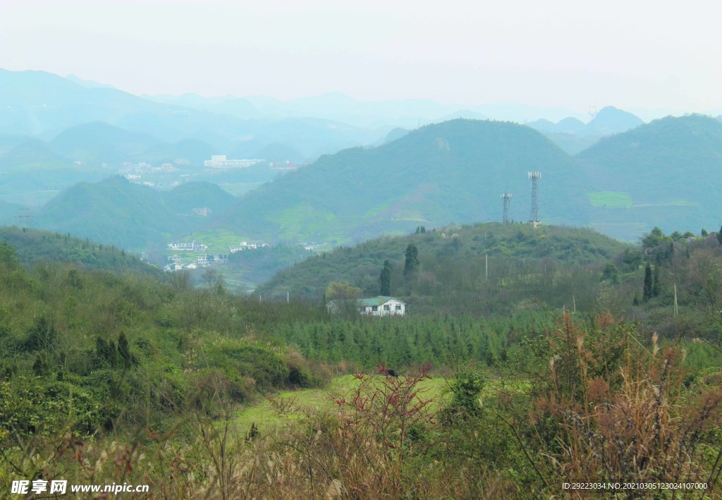 山 树林 森林  山川  山岭