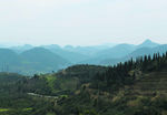 山 树林  森林