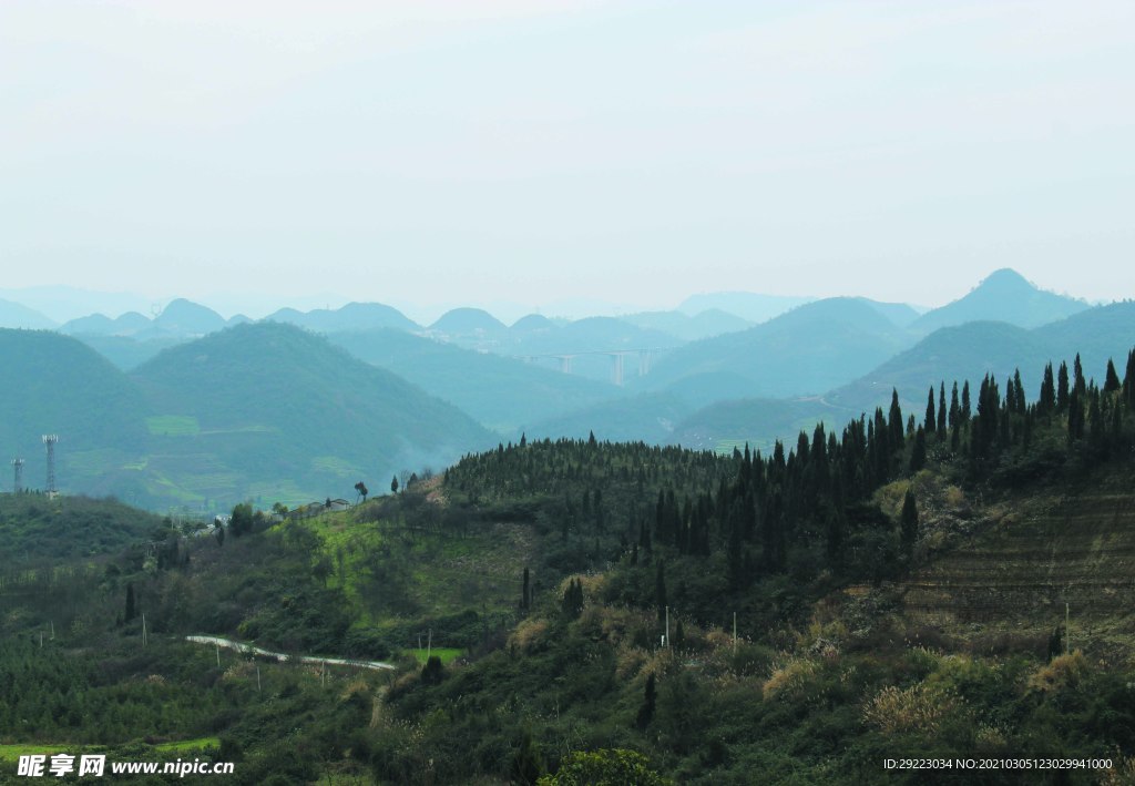 山 树林  森林