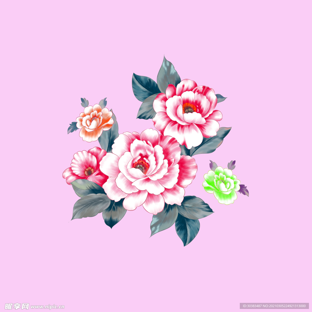 玫瑰 牡丹 花朵 素材 手绘
