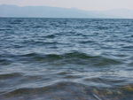 抚仙湖的水