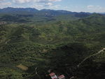 远山
