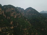 山