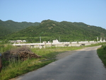 野外
