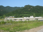 山