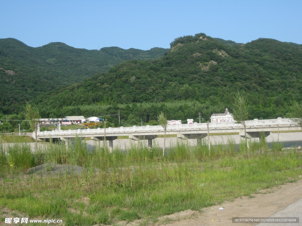山