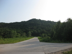 山
