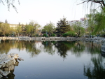 水池