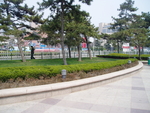 绿化带