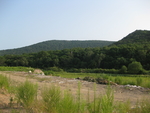 山