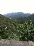 山