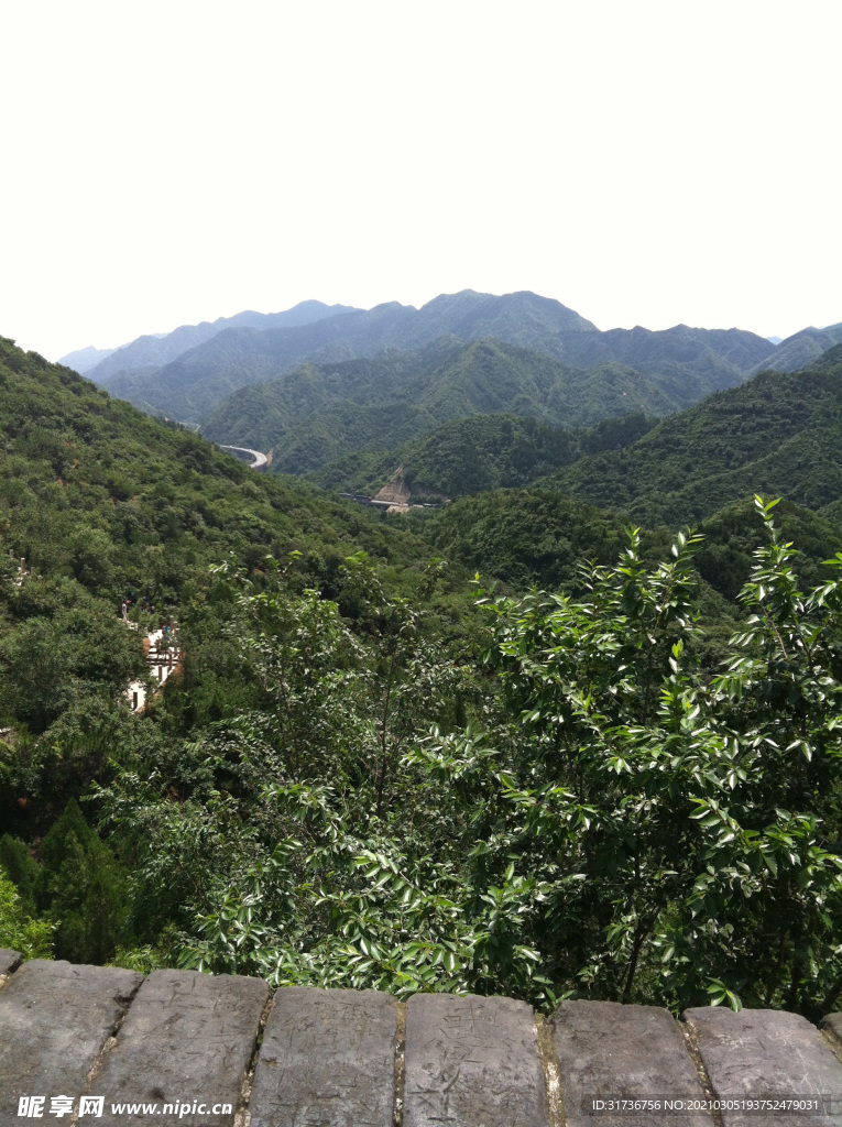 山