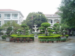 绿化