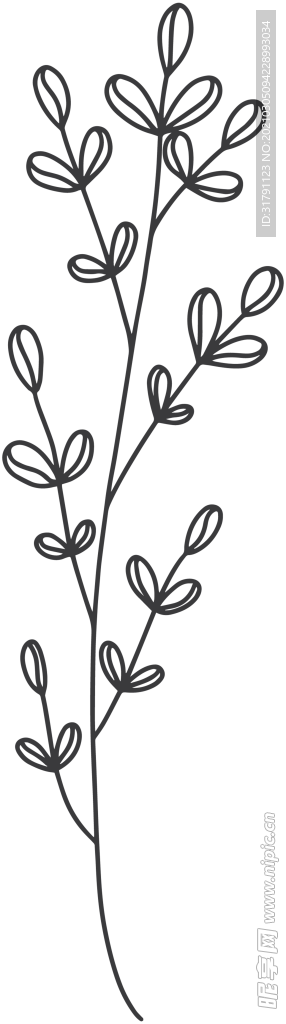 手绘植物