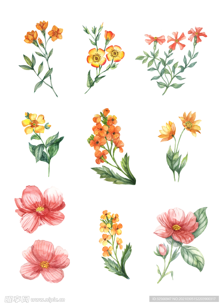 手绘花