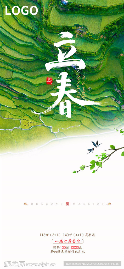 立春