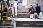 日本街道的梅花