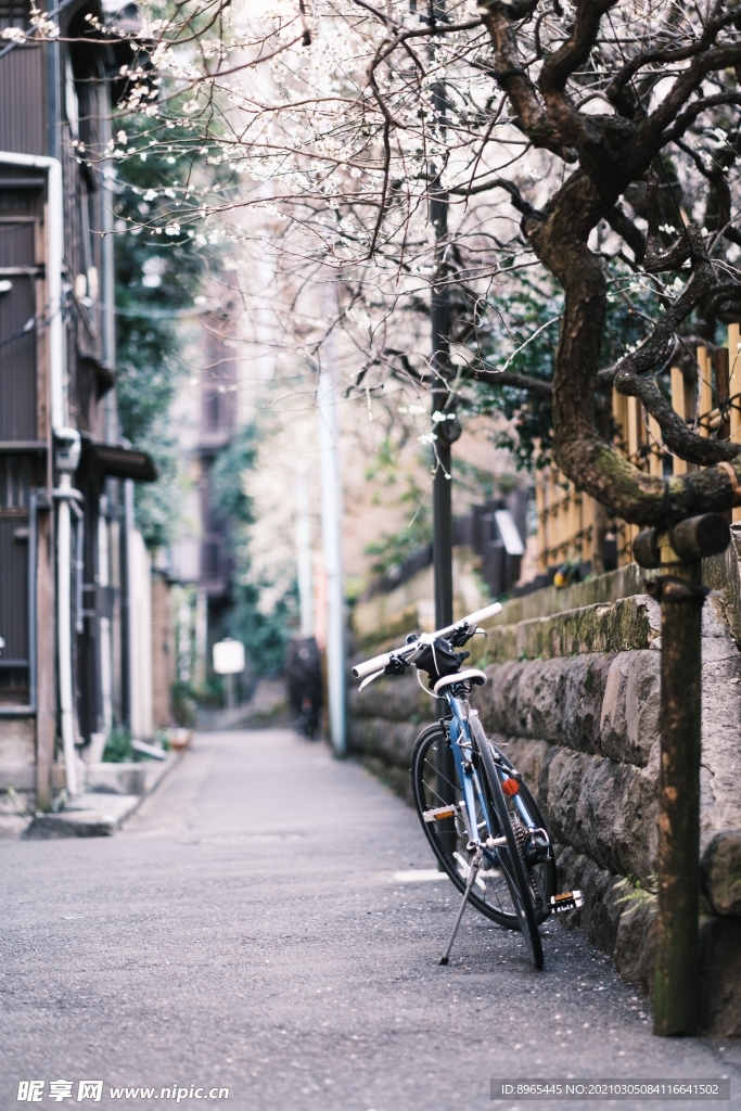 街道上的自行车