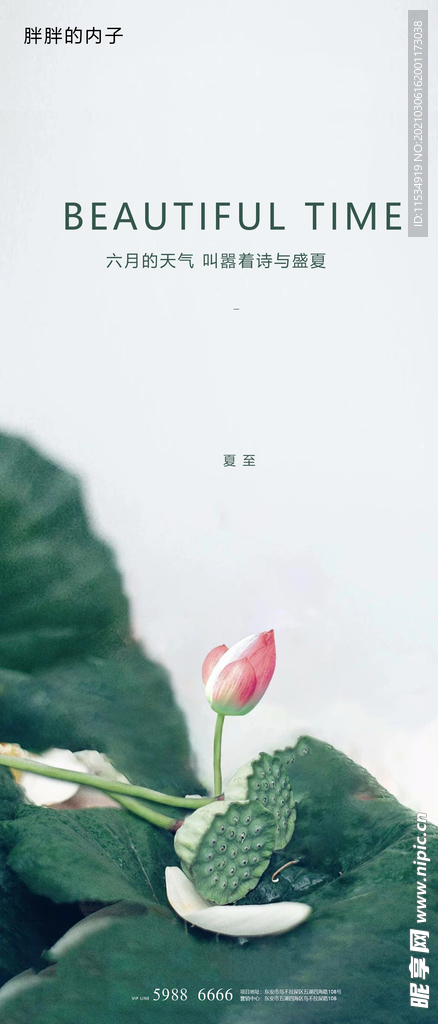 夏至节气海报