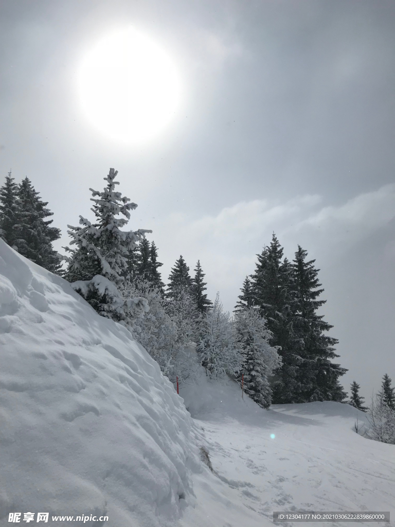 雪地