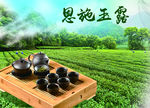 茶文化