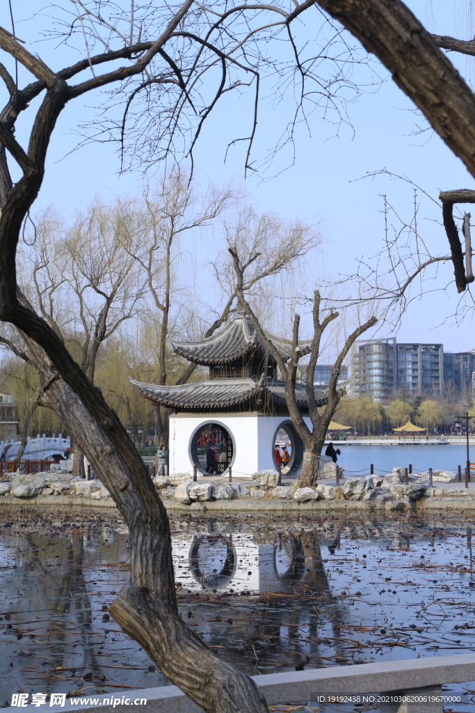 初春风景