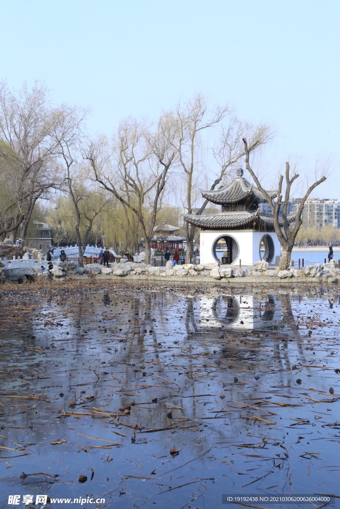 初春风景