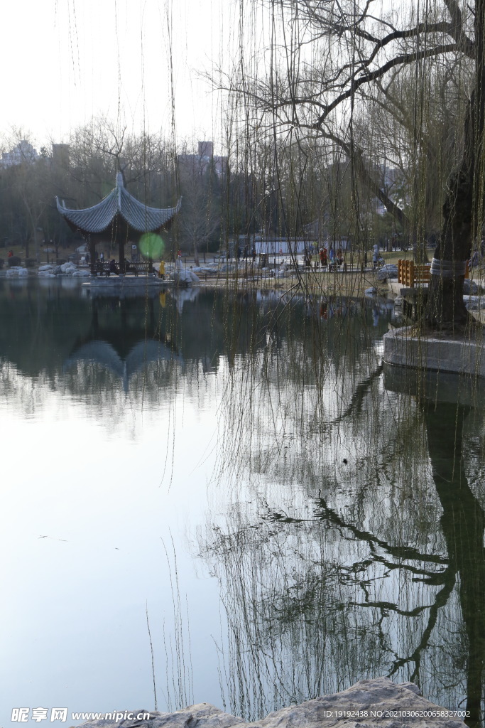 初春风景