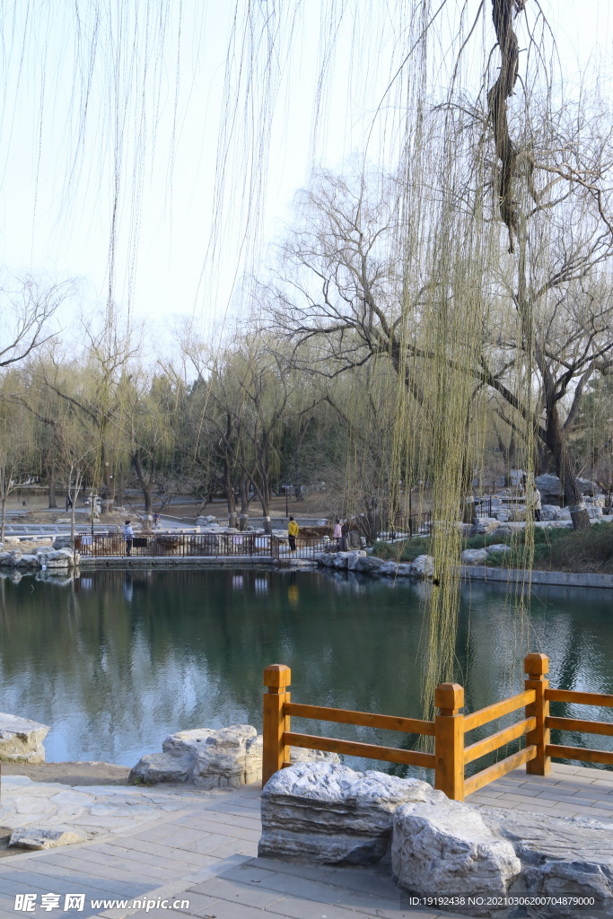 初春风景