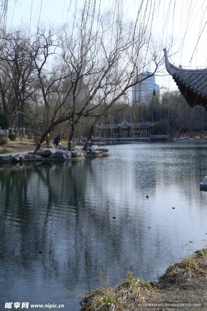 初春风景