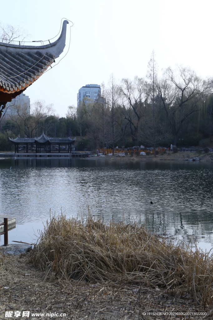 初春风景