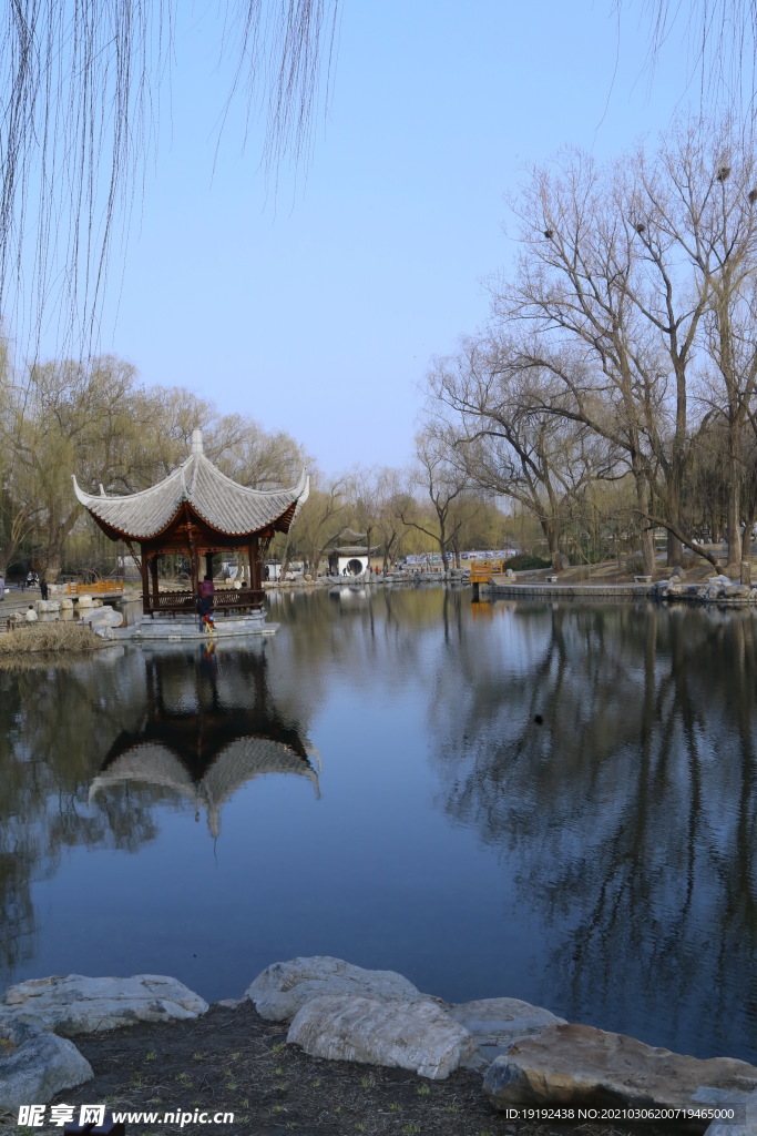 初春风景