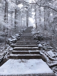 山雾下雪黄山