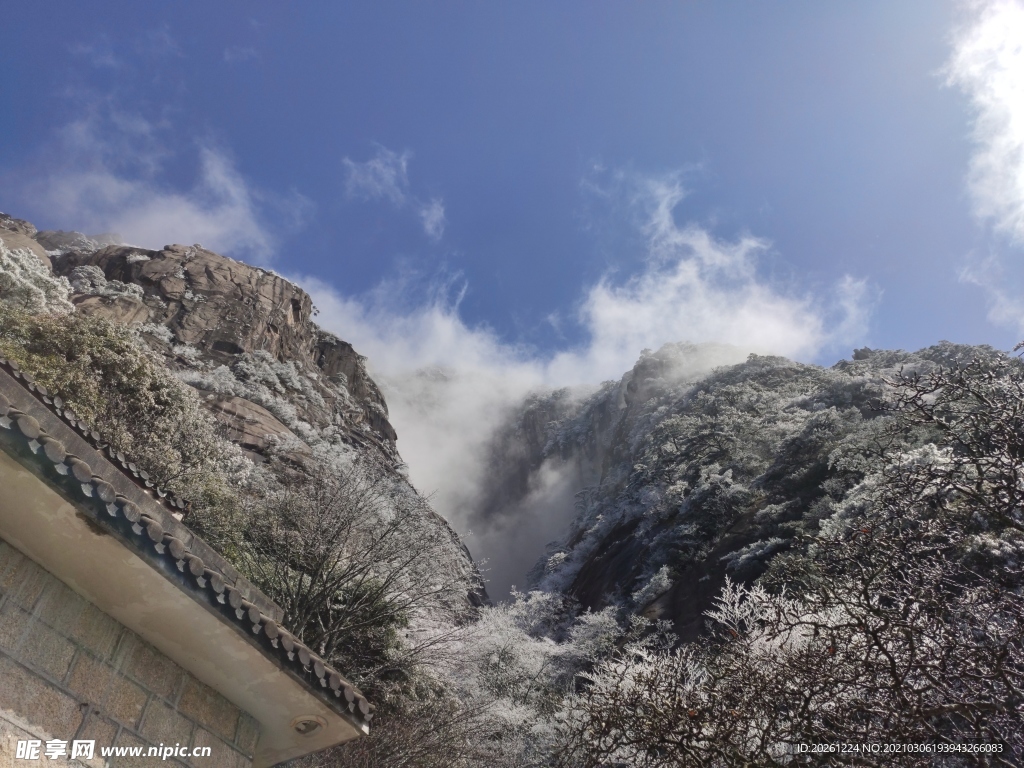 雪松烟雾黄山