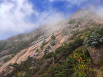 黄山山腰