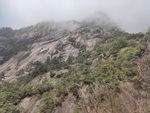 黄山山腰