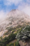 高山云雾