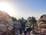 黄山风景