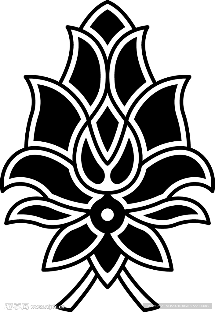 纹路纹理