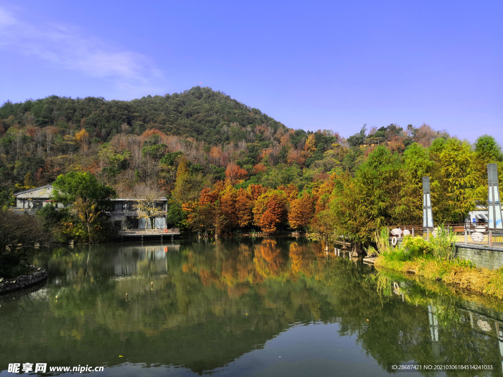 公园风景