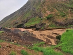 山