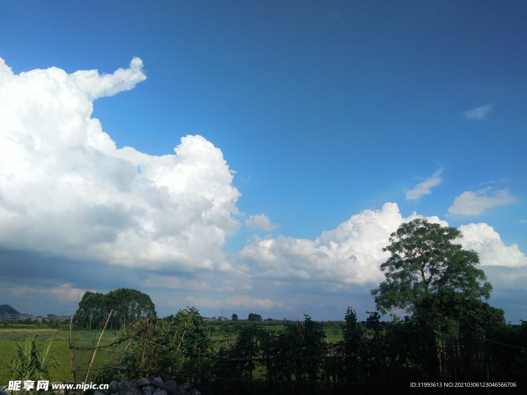 田园 天空