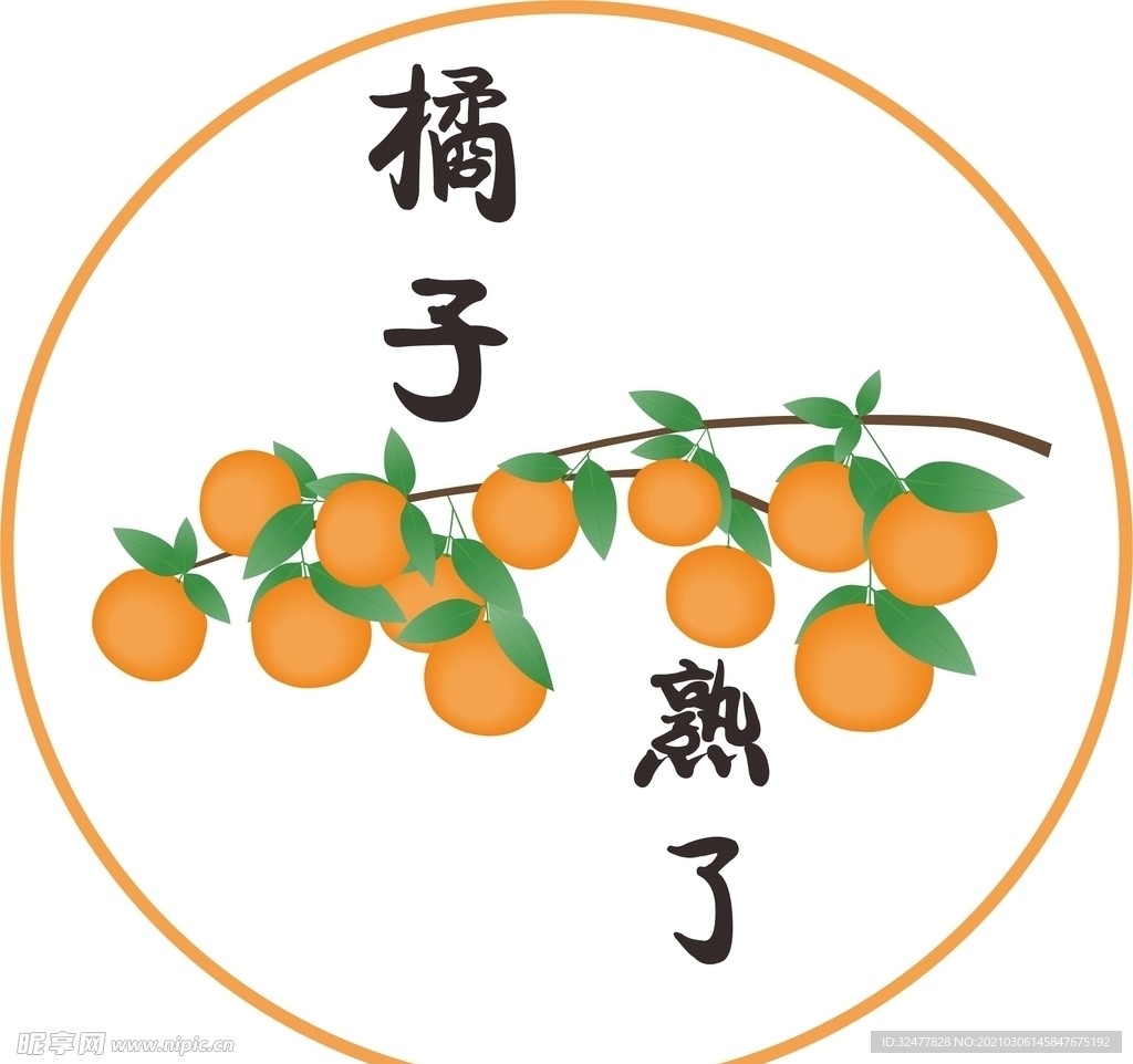 橘子熟了平面图