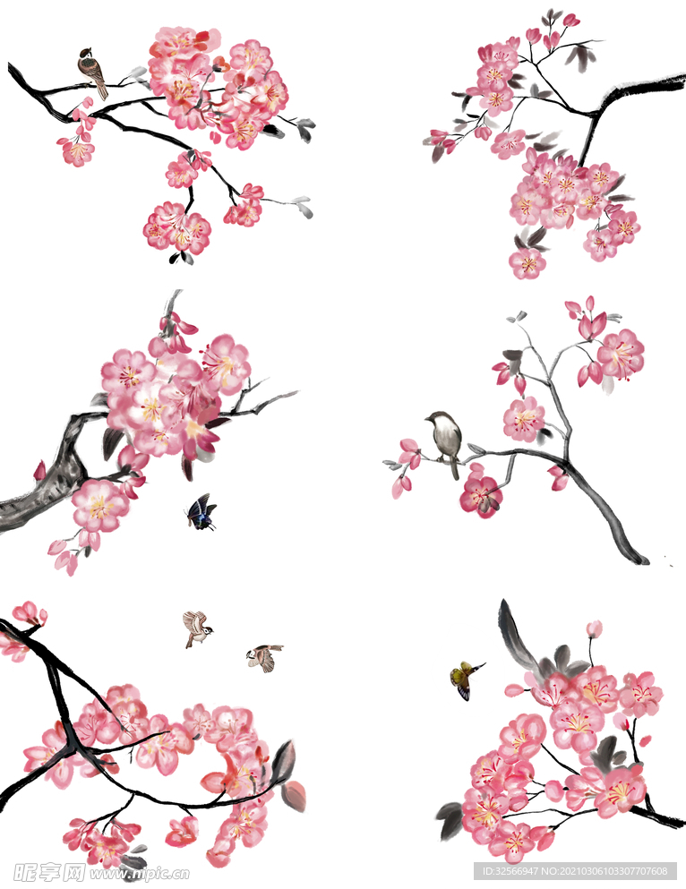 樱花