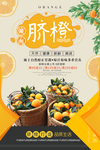 橙子海报
